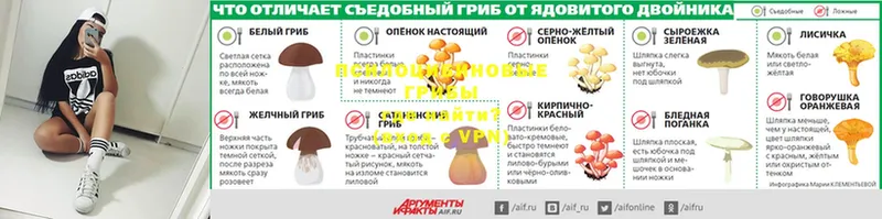 Галлюциногенные грибы MAGIC MUSHROOMS  сайты даркнета состав  Краснослободск 